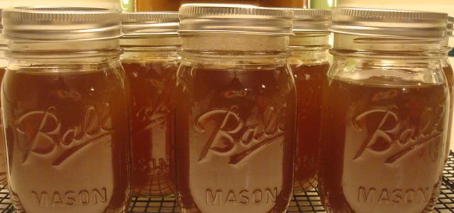 Mushroom_Stock_Feature